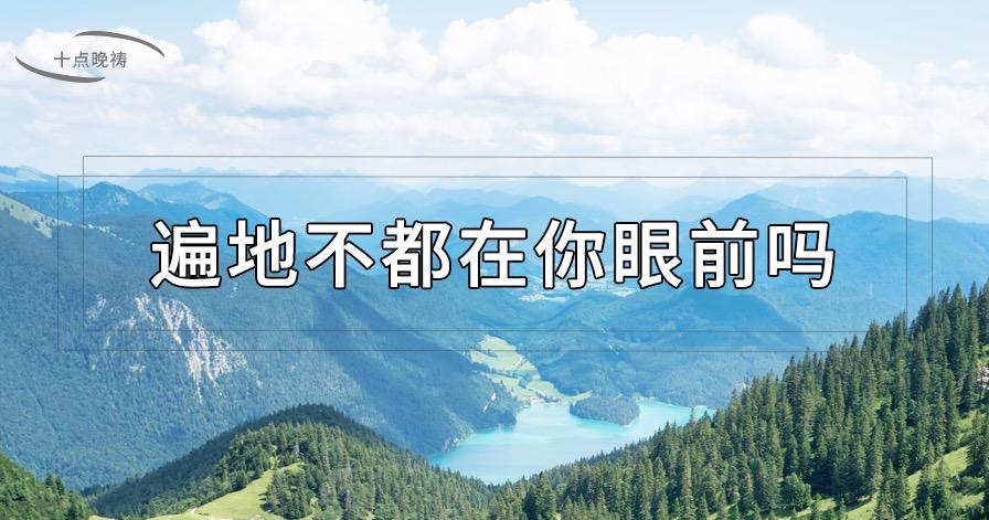 文章图片