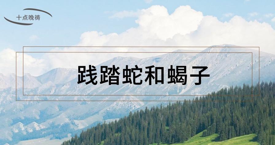 文章图片