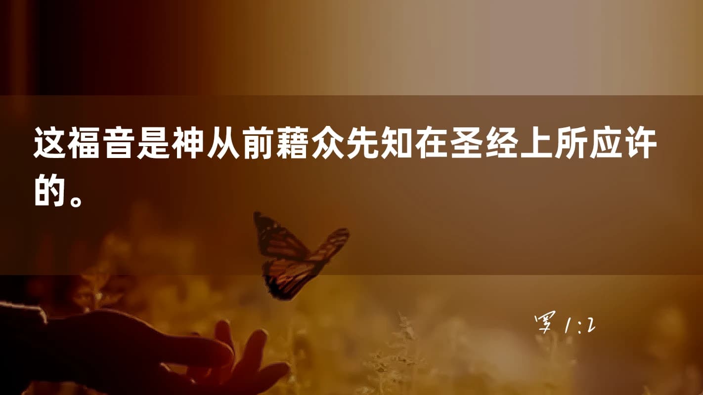 文章图片
