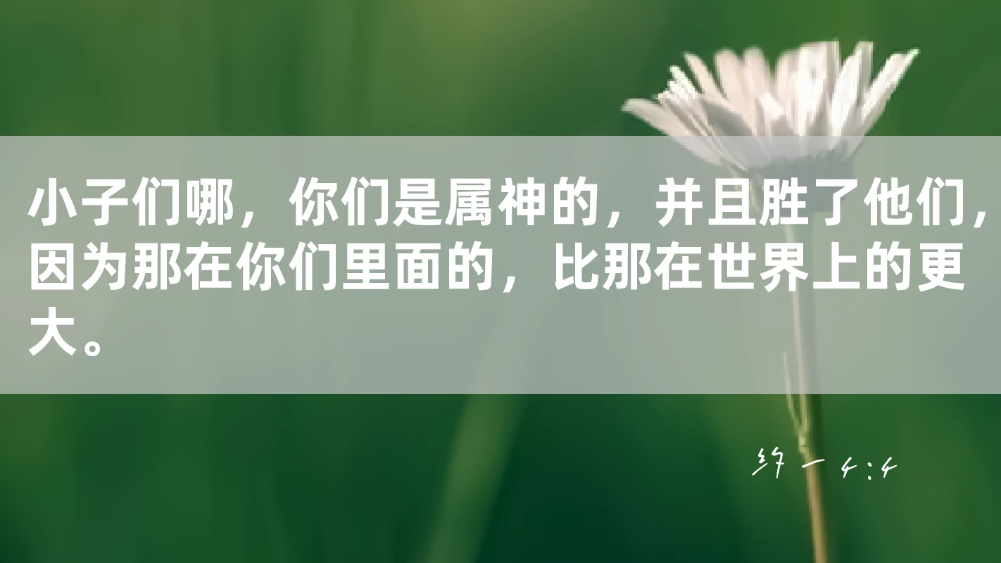 文章图片